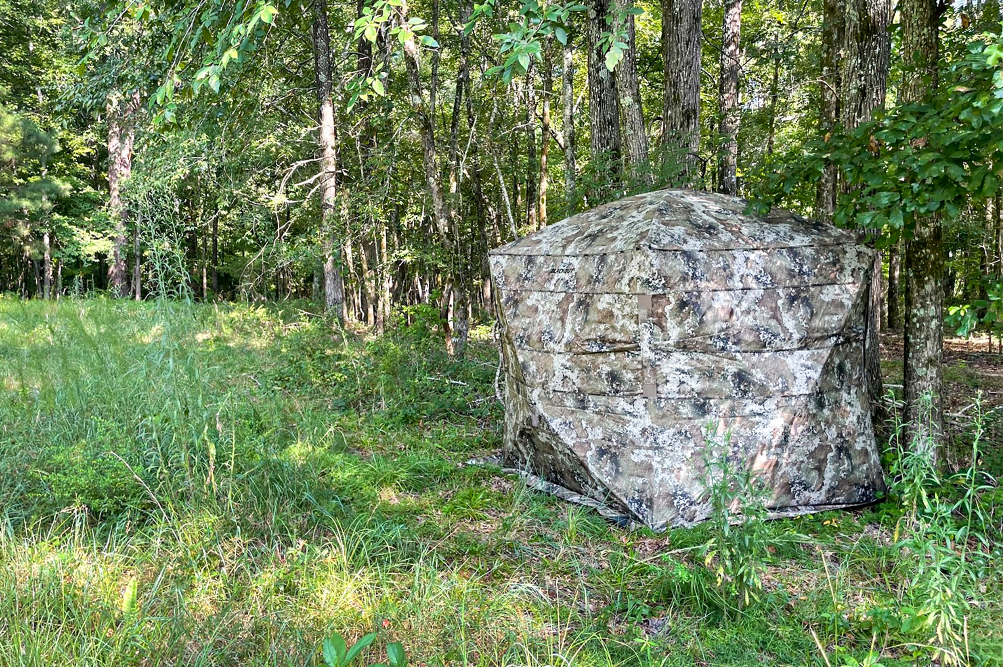 bass pro shops blackout blind on a field edge