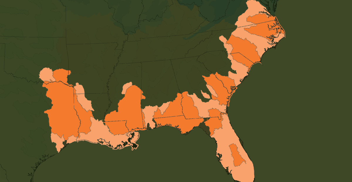 americas-southern-piney-woods-the-national-wild-turkey-federation