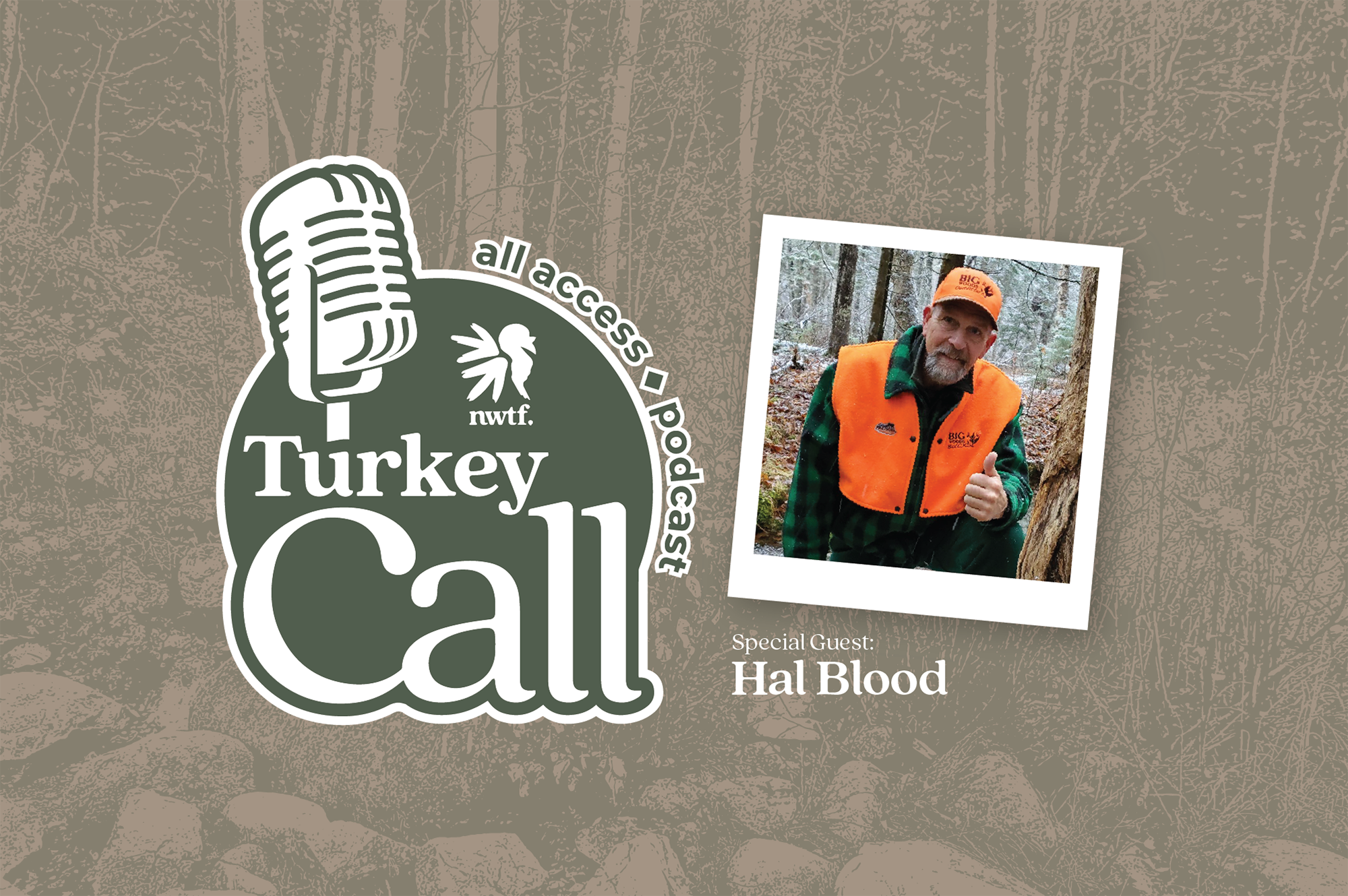 Hal Blood podcast title image