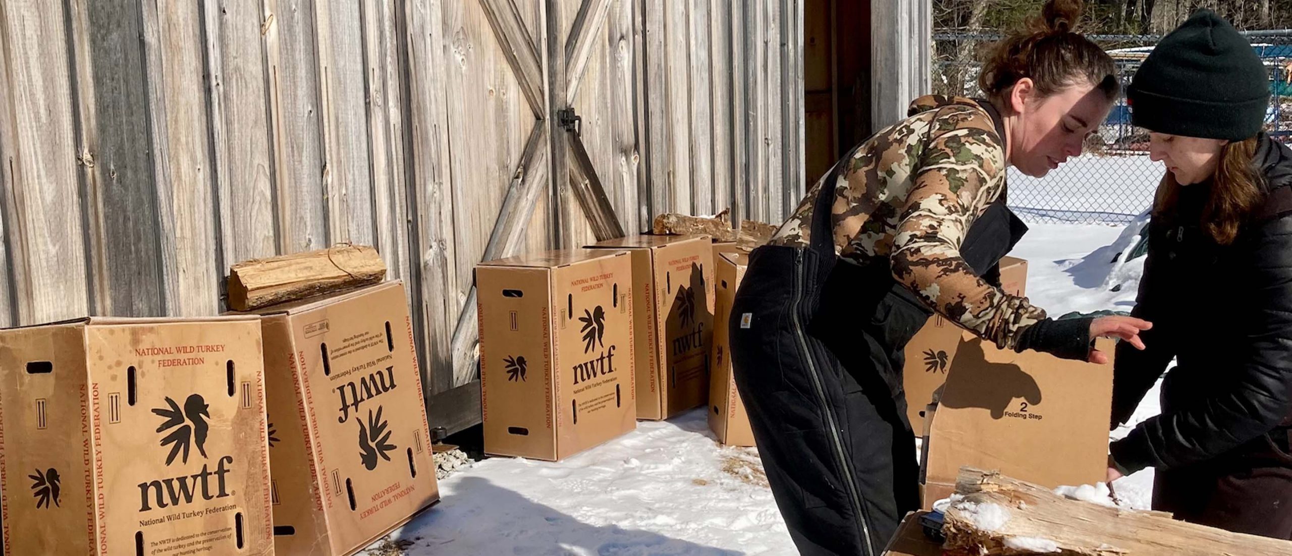 Agency employees placing wild turkeys in making tracks boxes