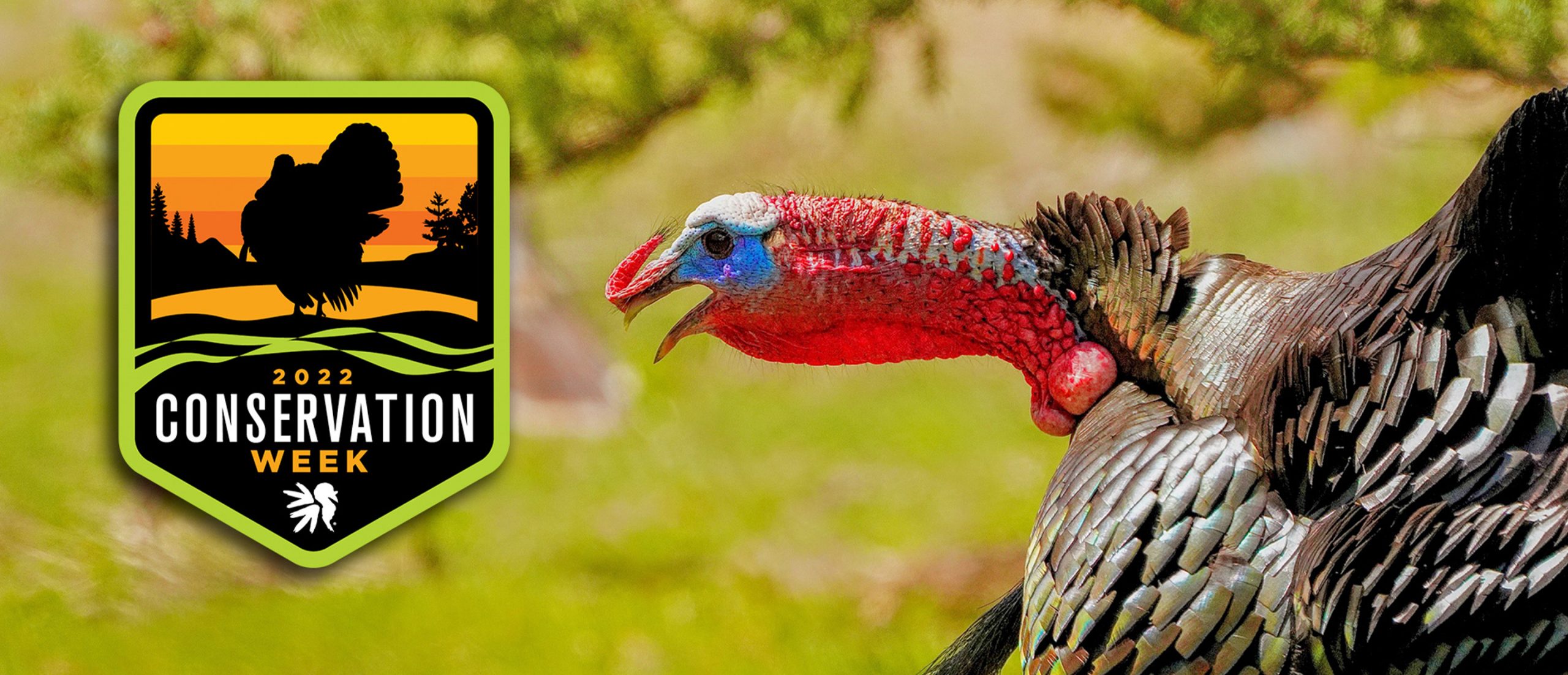 nwtf-announces-second-annual-conservation-week-the-national-wild