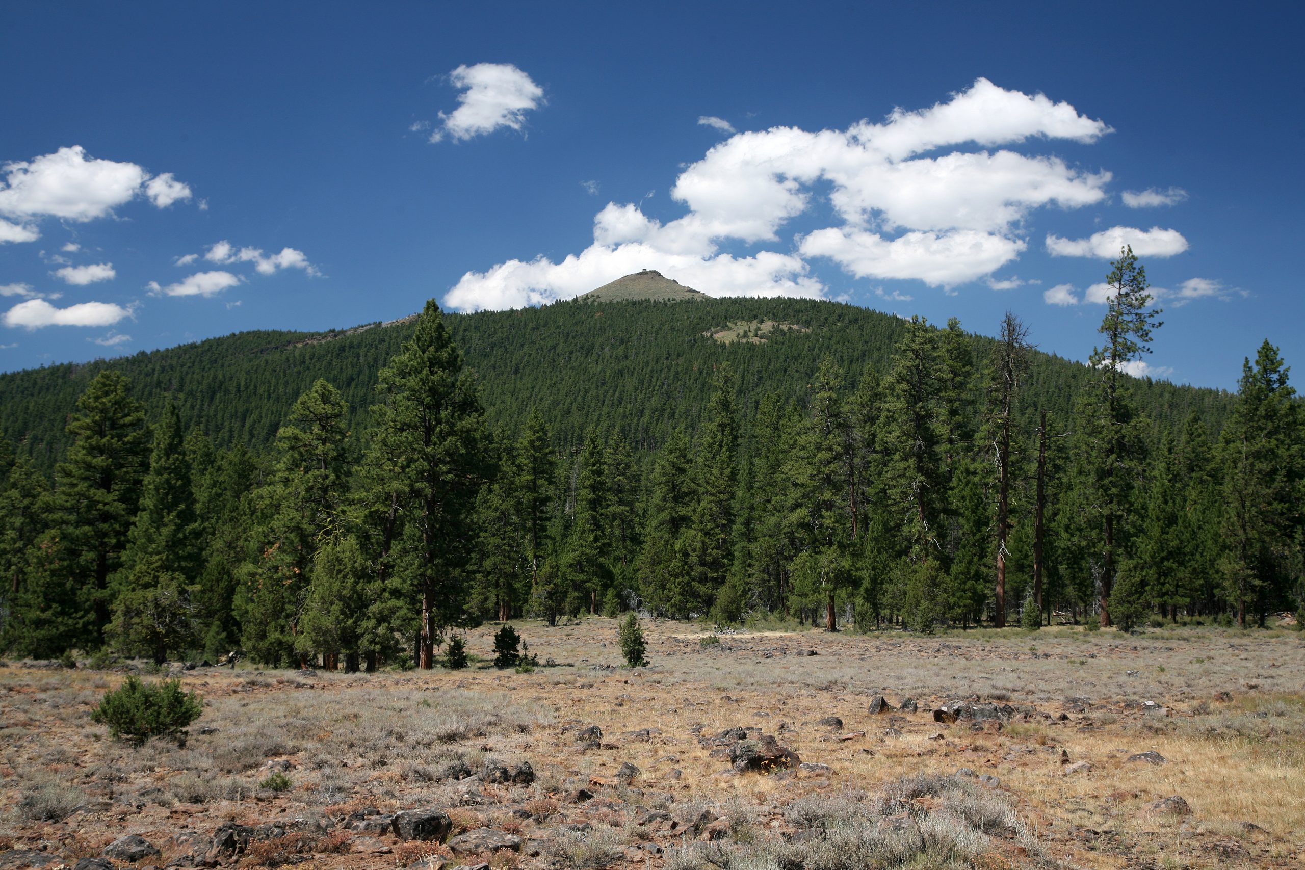 View of Hager Mountain from Grassland by Thompson Reservoir on the Fremont-Winema National Forest in Southern Oregon.