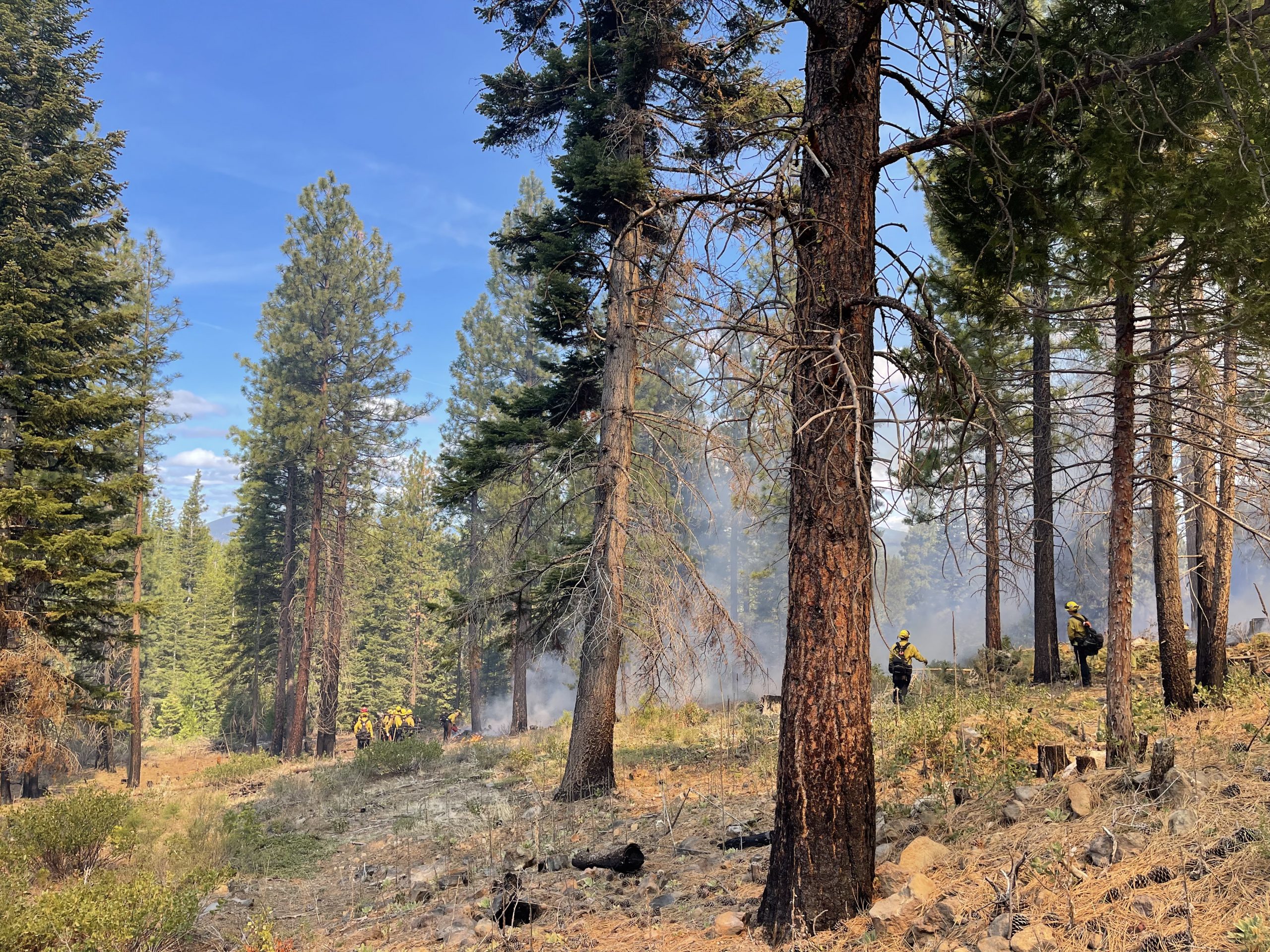 Veterans implementing prescribed burn