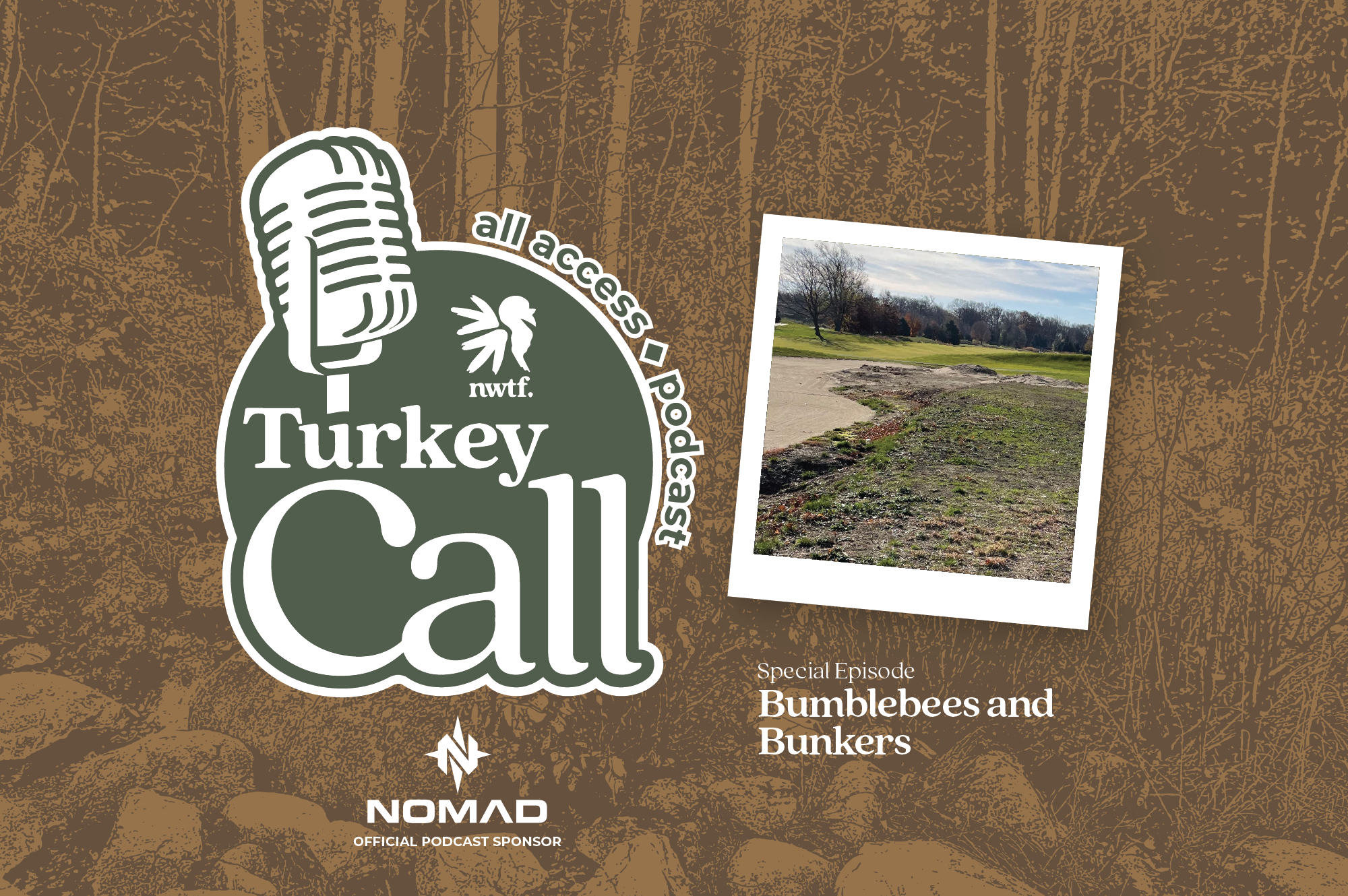 podcast graphics for bumblebees and bunkers