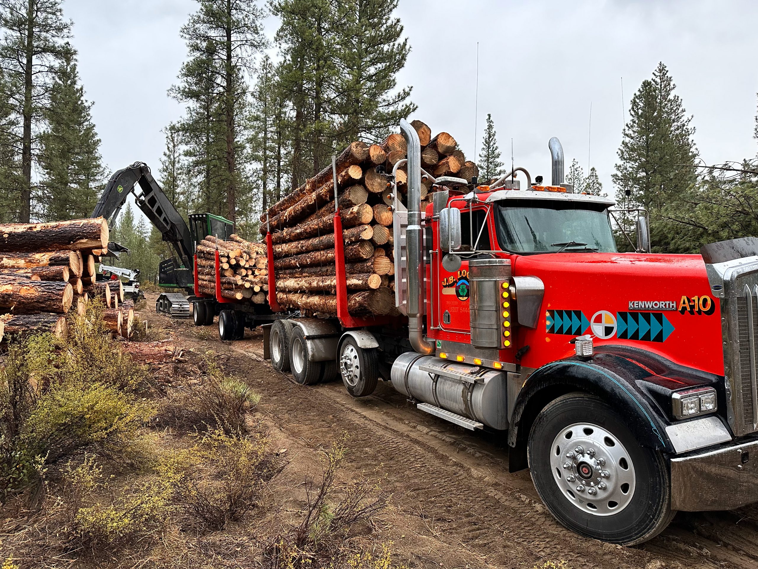 Logging truck loads up harvested timber for transport