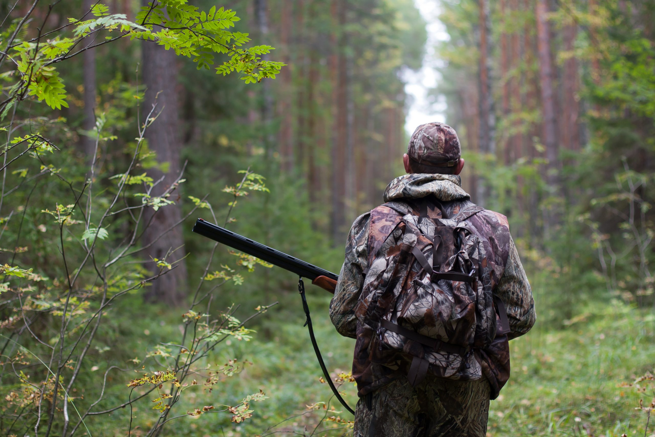 Hunter walking through the woods