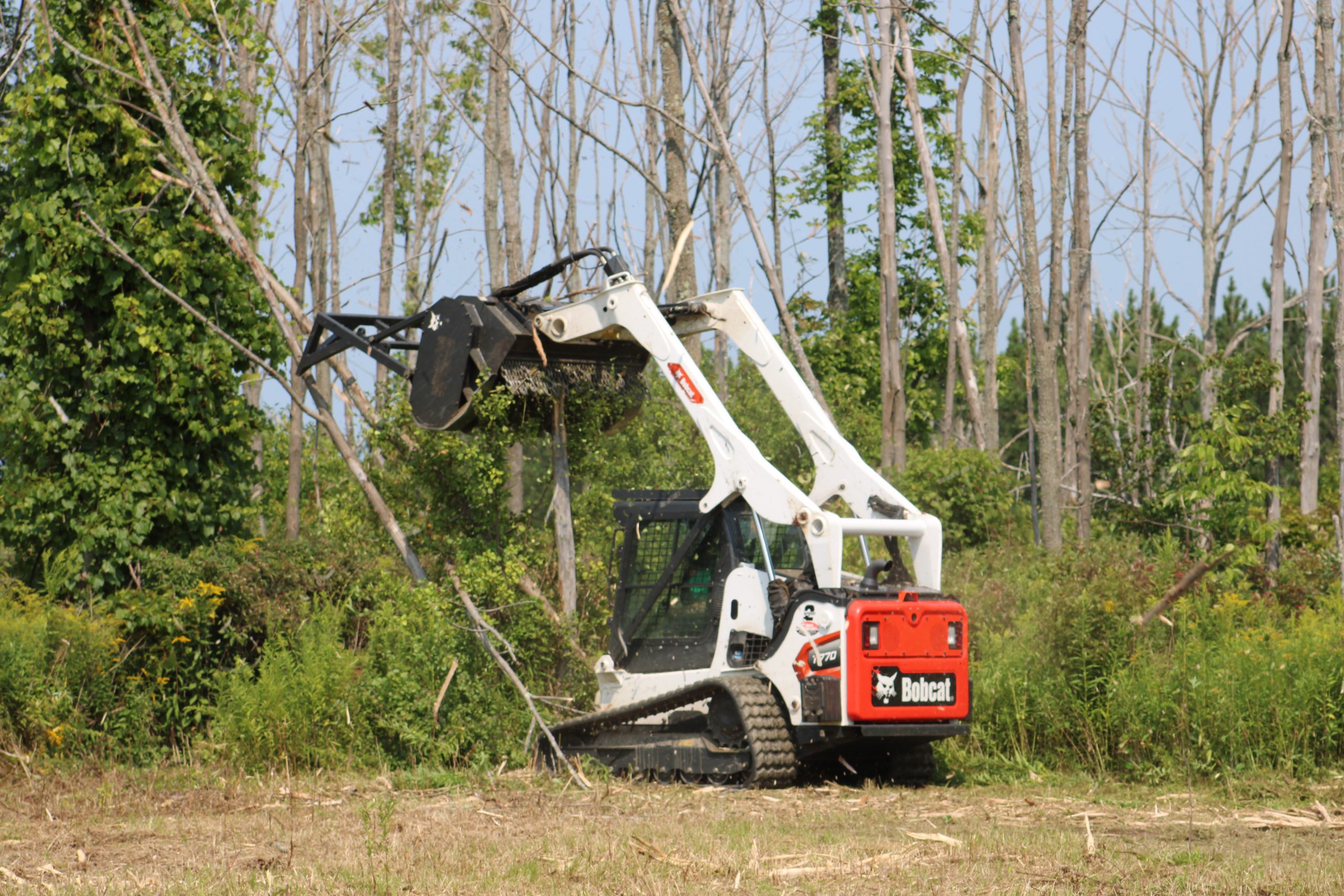 A skid steer grinds down undesirable brush and trees.