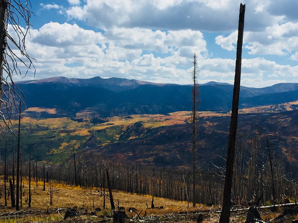 NWTF And Forest Service Expand Wildfire Crisis Strategy In Colorado ...