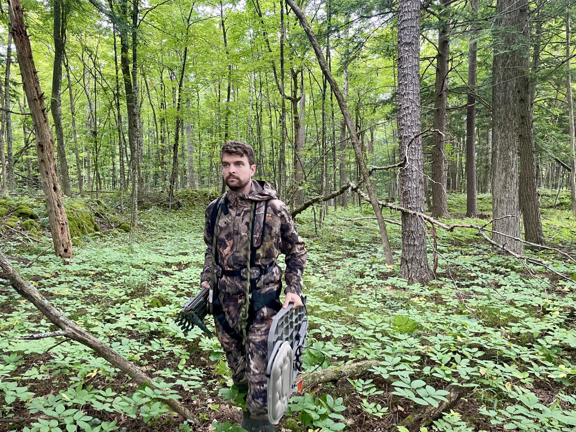 A hunter carries a tree stand through the woods.