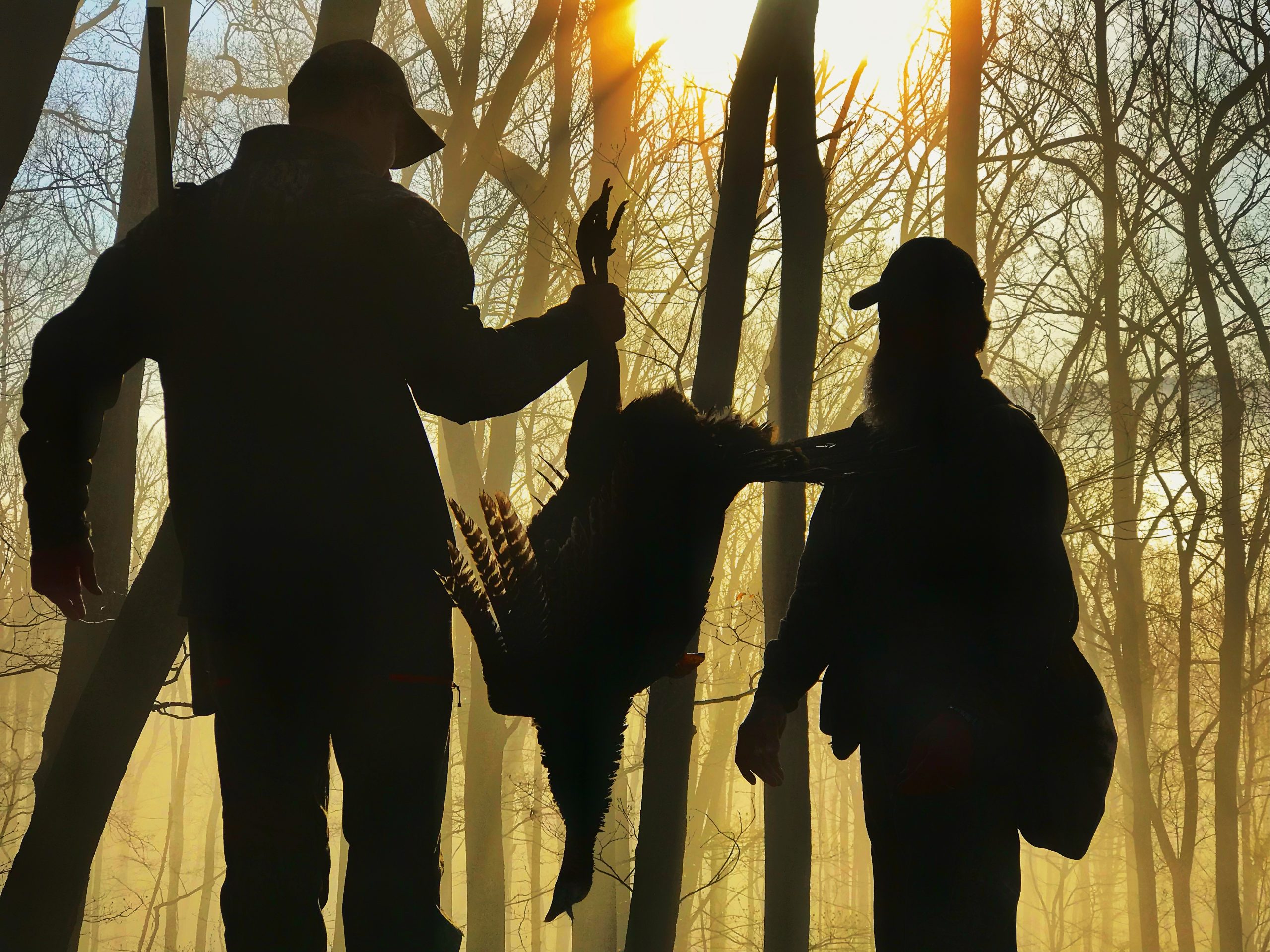 Two turkey hunter silhouetted