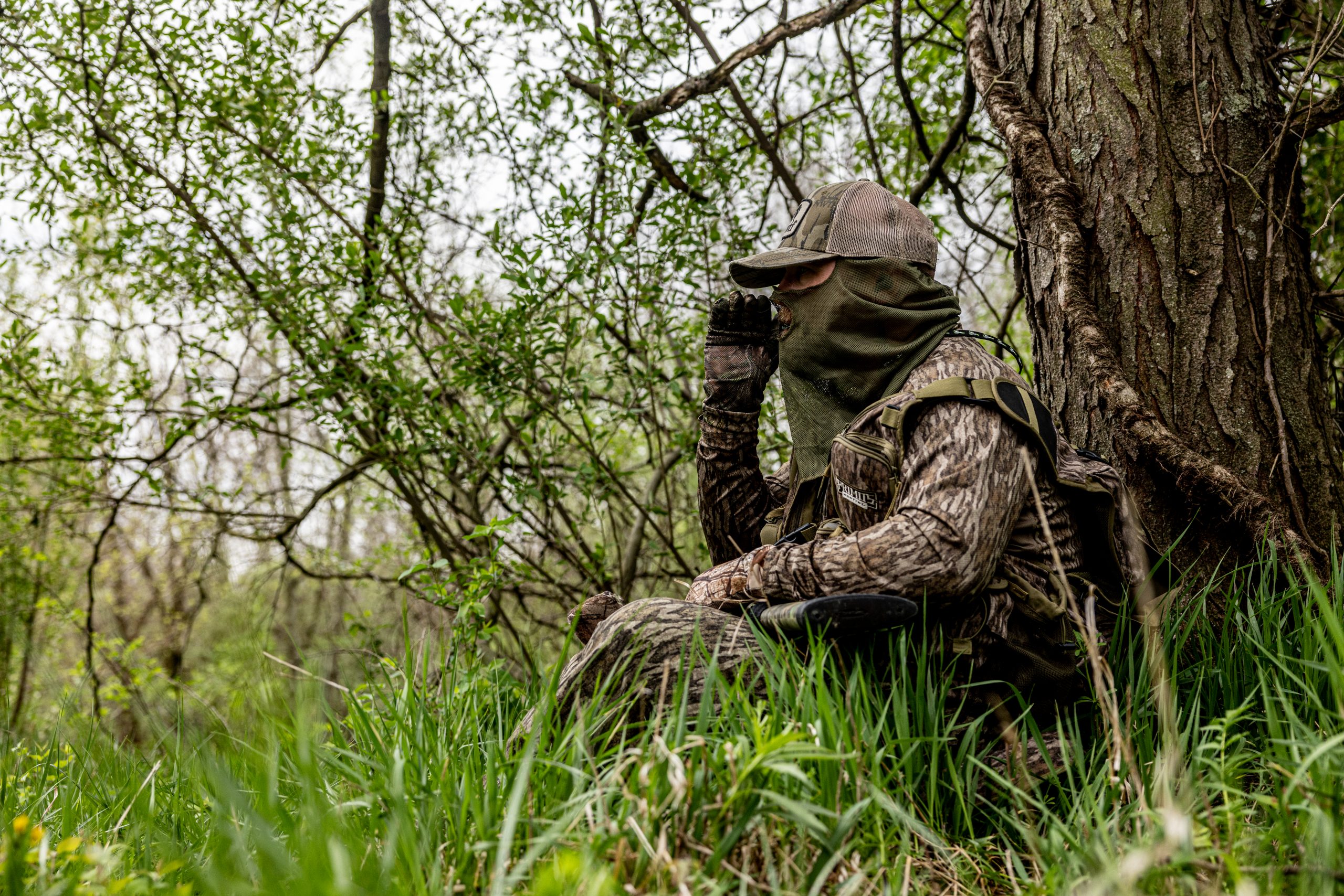 A hunter leaning against a tree calls a wild turkey