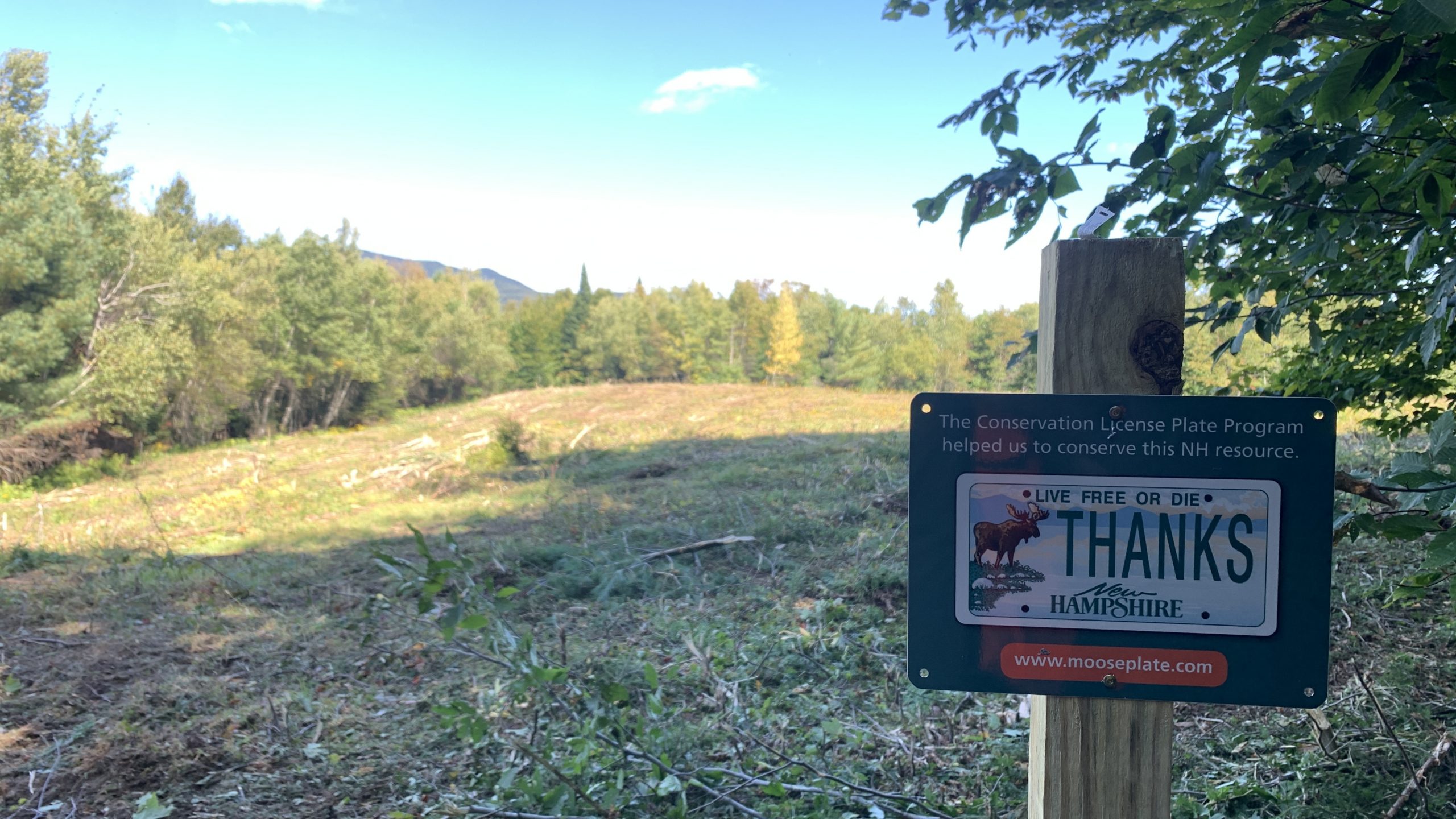 A habitat management project with a Moose Plate funds sign.