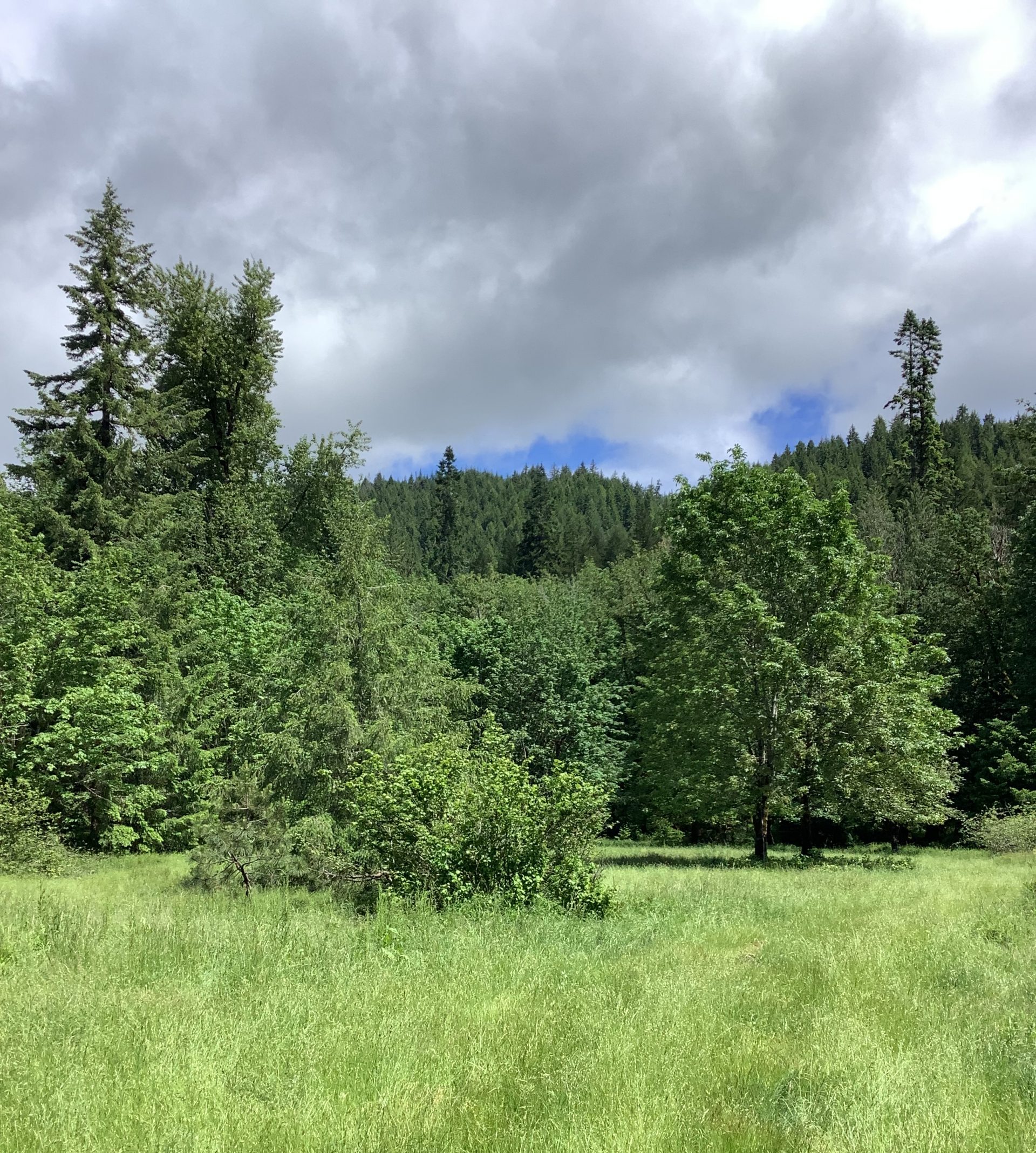 Landscape from the Wind River Project