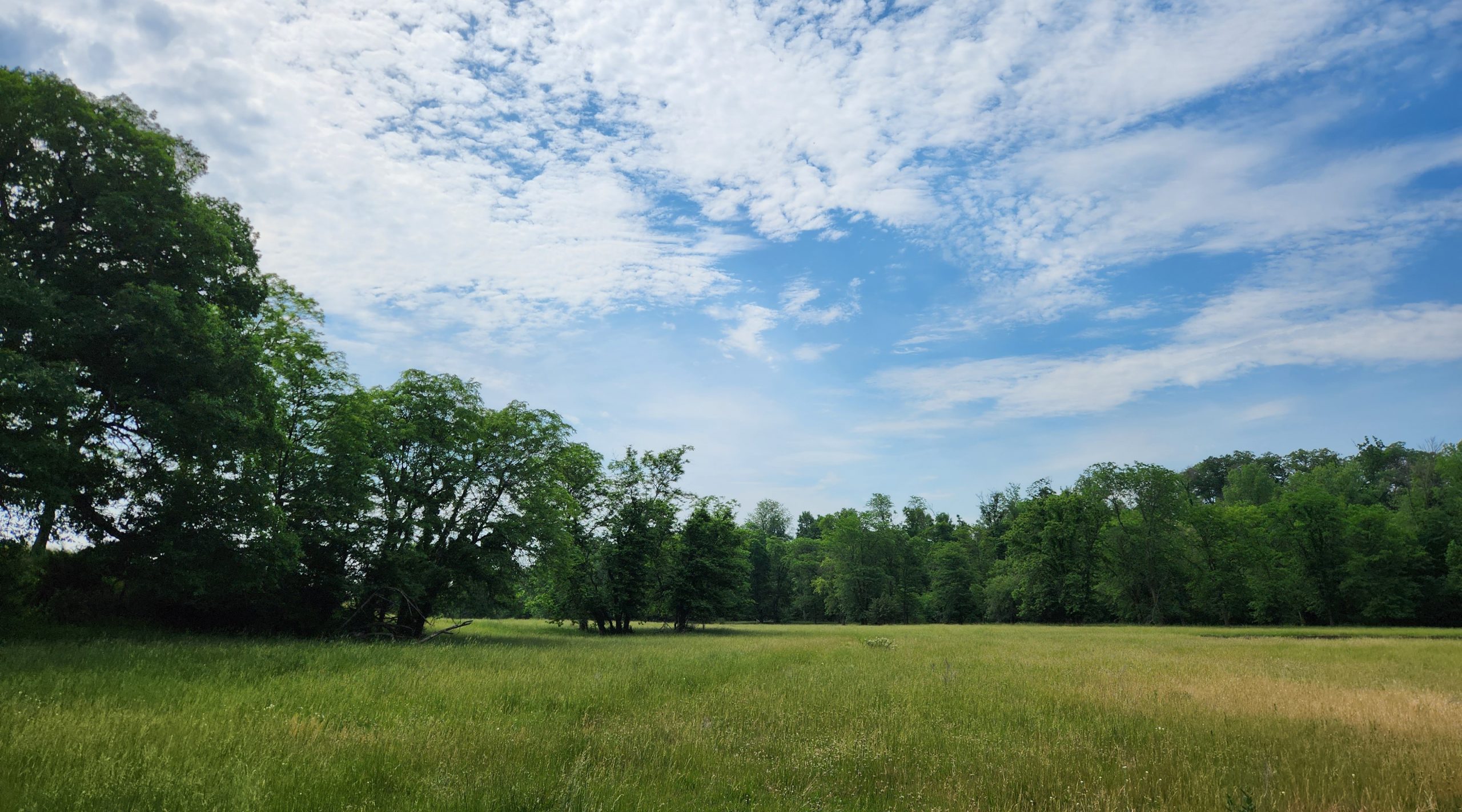 New addition of the Wildcat bluff WMA