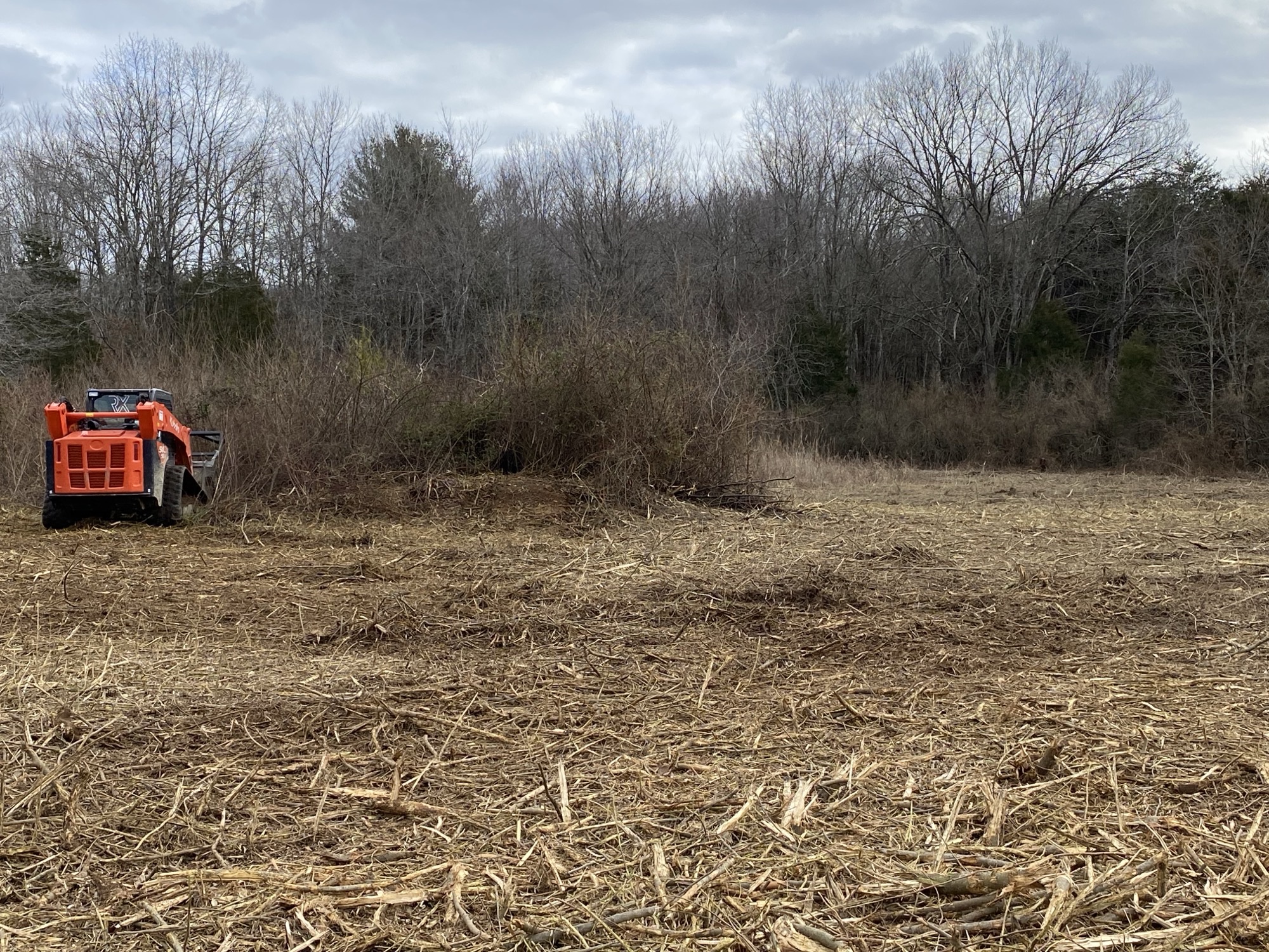 A skid steer mulches down overly dense brush