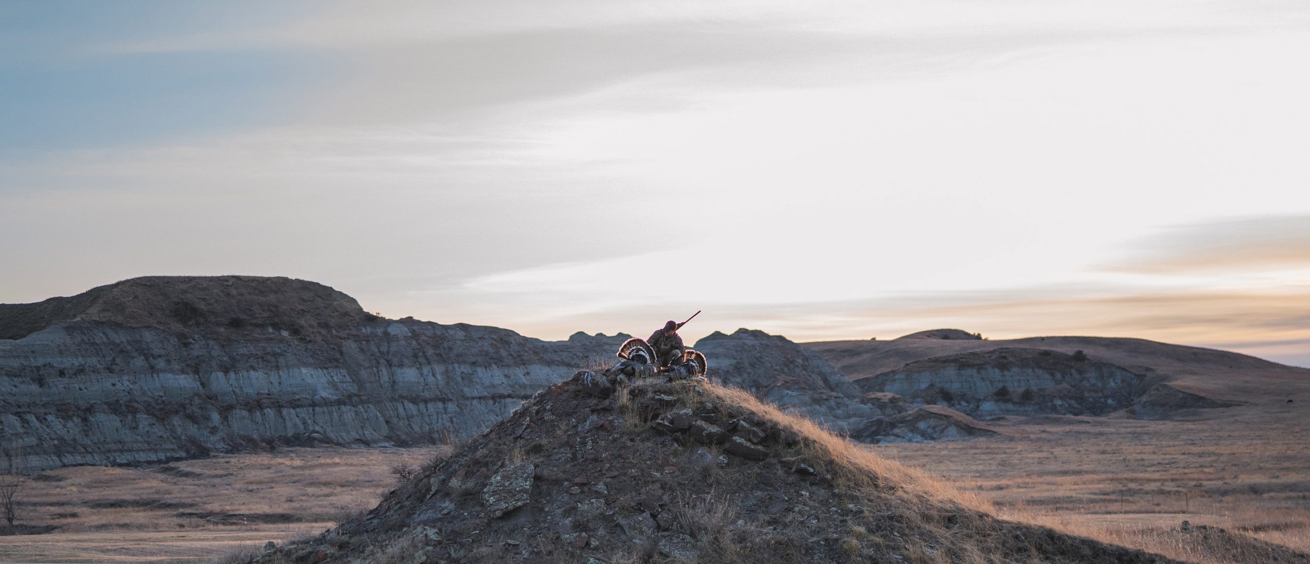 A hunter admires his bird in a vast landscape.